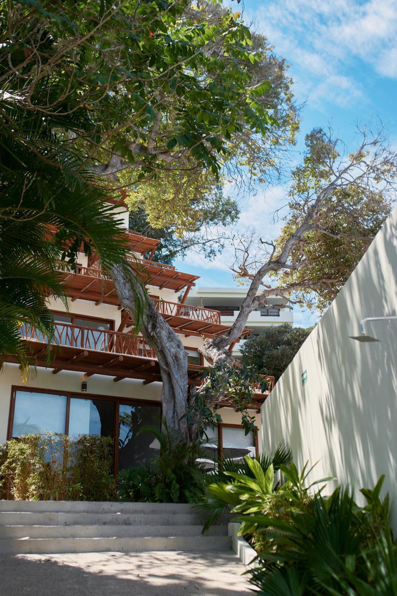 Ysuri Sayulita - Beachfront Hotel Exteriér fotografie